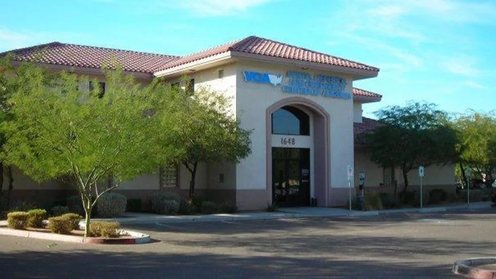 VCA Animal Referral and Emergency Center of Arizona primary photo