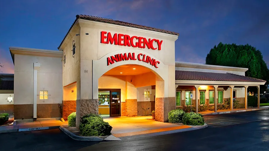 VCA Animal Referral and Emergency Center of Arizona