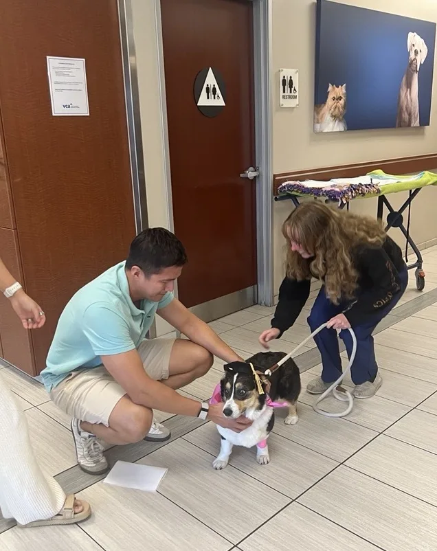 VCA Animal Specialty Group