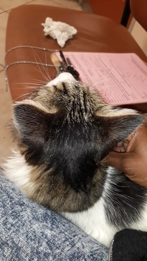 VCA Bakersfield Animal Hospital