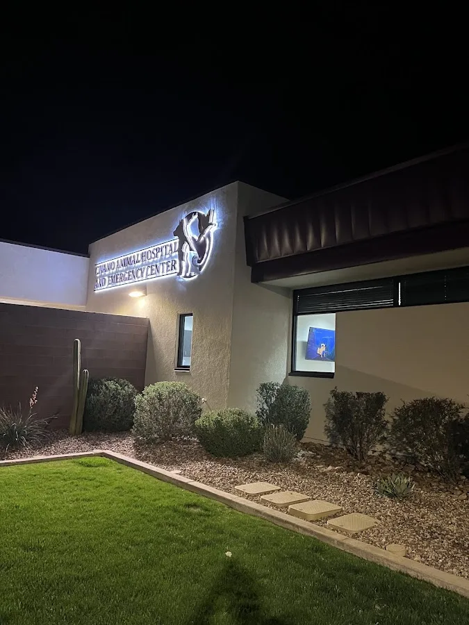 VCA Civano Animal Hospital and Emergency Center