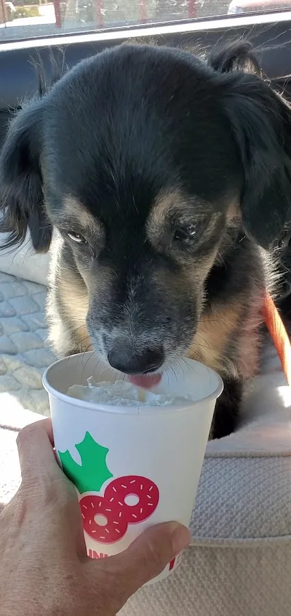 VCA Civano Animal Hospital and Emergency Center