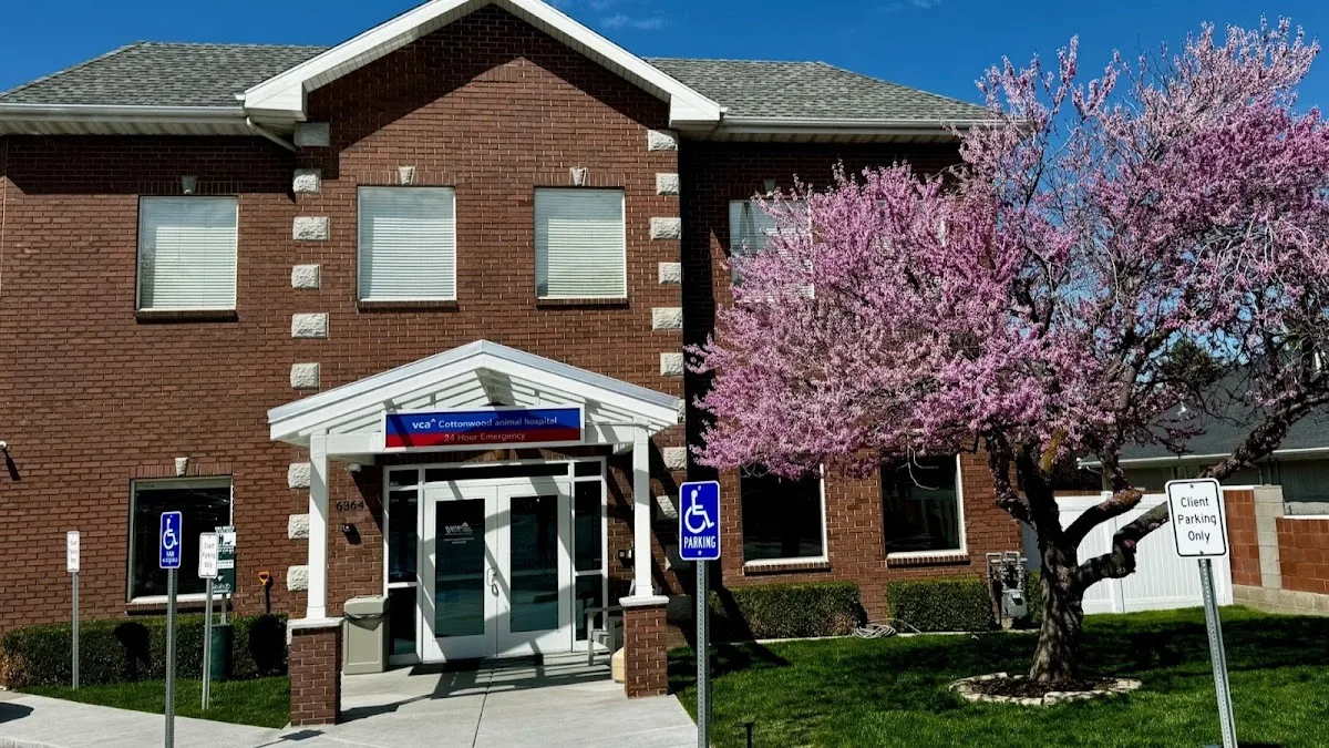 VCA Cottonwood Animal Hospital