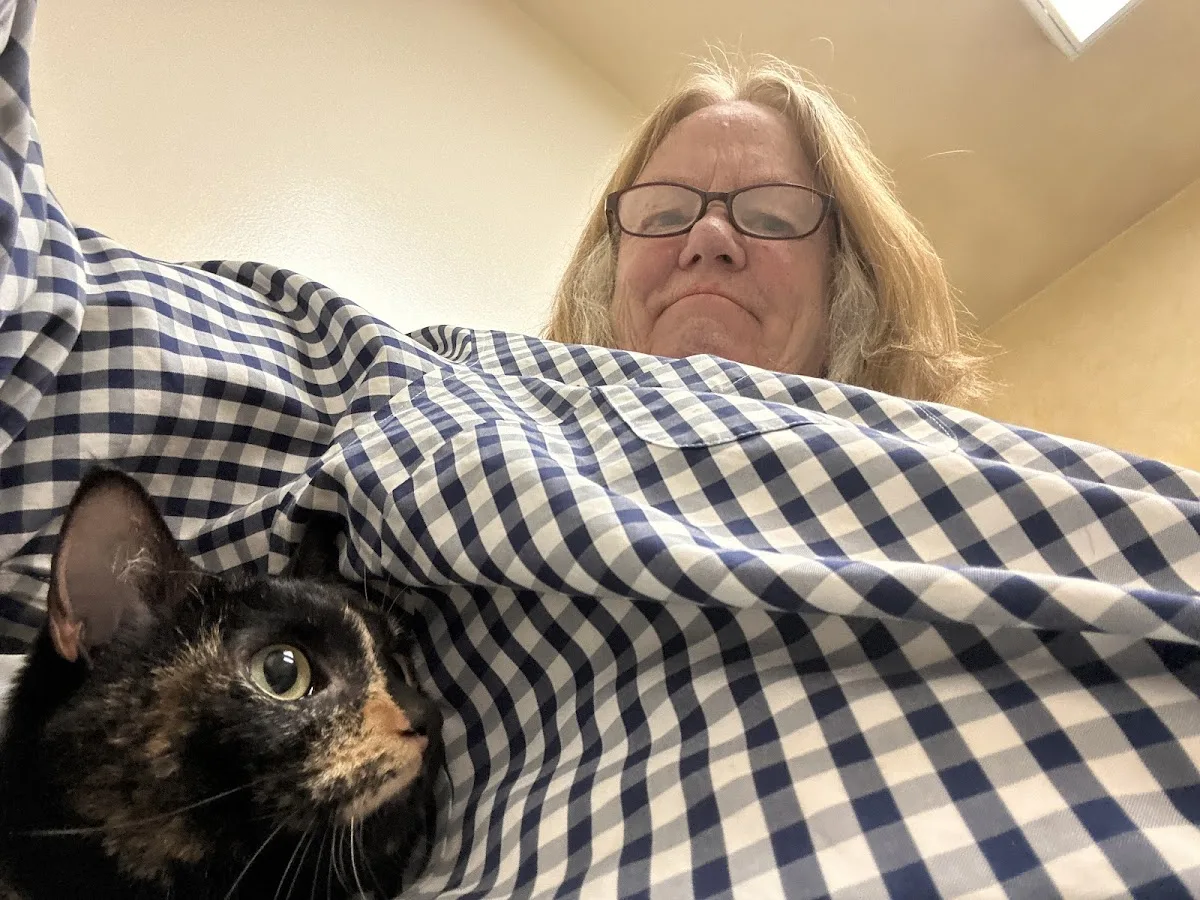 VCA Cottonwood Animal Hospital