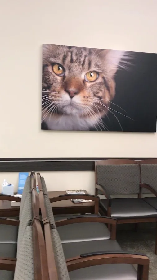 VCA Great Lakes Veterinary Specialists