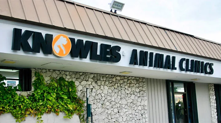 VCA Knowles Snapper Creek Animal Hospital