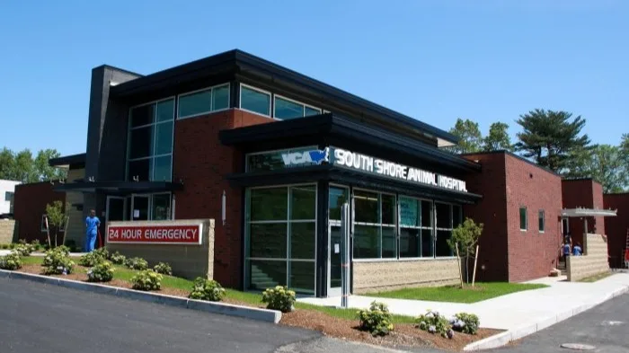 VCA South Shore Weymouth Animal Hospital primary photo