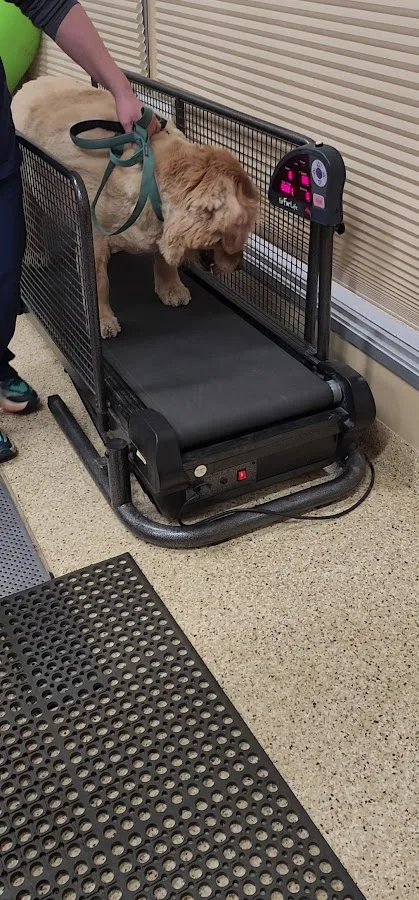 VCA South Shore Weymouth Animal Hospital