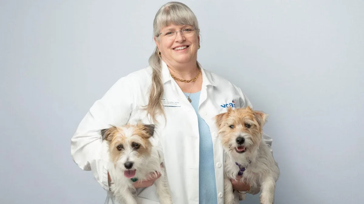 VCA SouthPaws Veterinary Specialists & Emergency Center primary photo
