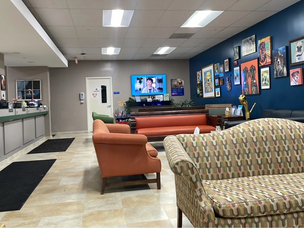 VCA SouthPaws Veterinary Specialists & Emergency Center