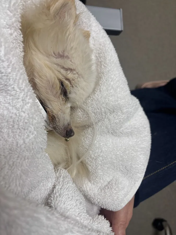 VCA West Los Angeles Animal Hospital