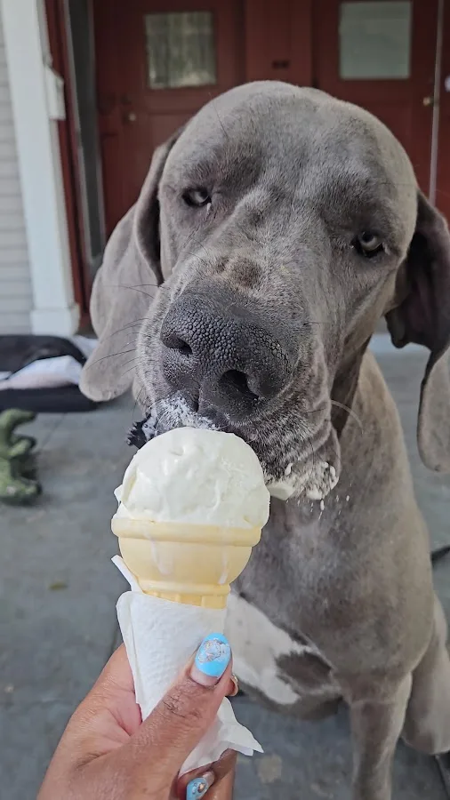 VCA West Los Angeles Animal Hospital