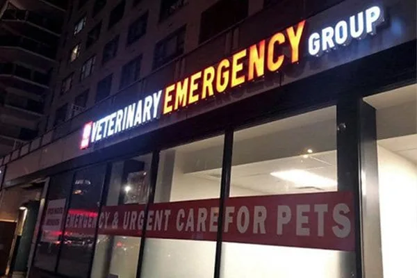 VEG ER for Pets primary photo