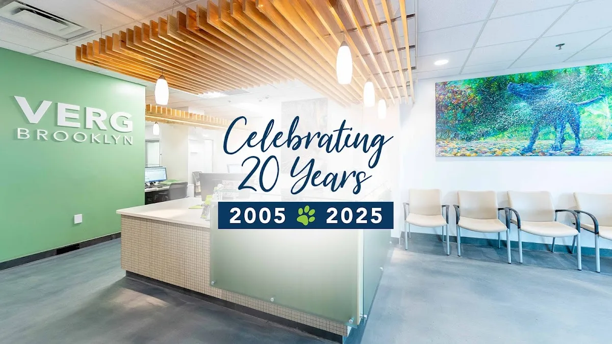 VERG Brooklyn primary photo