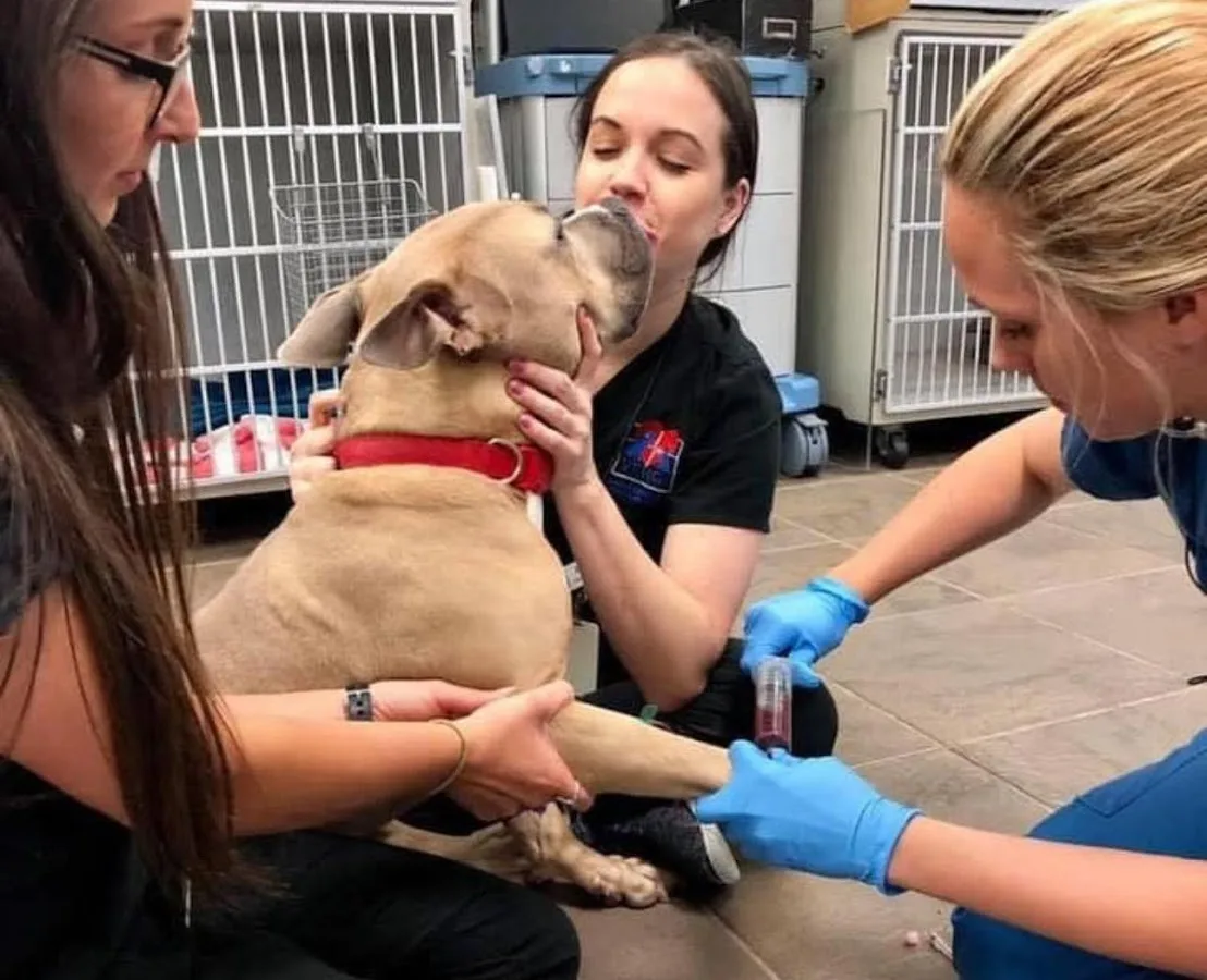 Vergi 24/7 primary photo