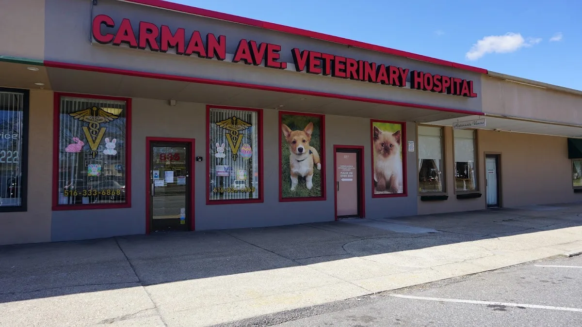 Vet hospital/ER primary photo