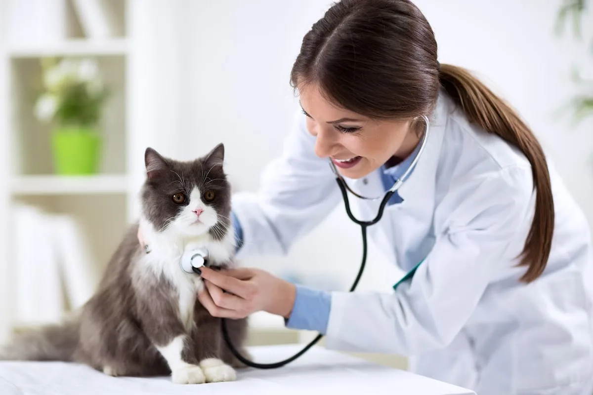 Veterinarian Care Group inc