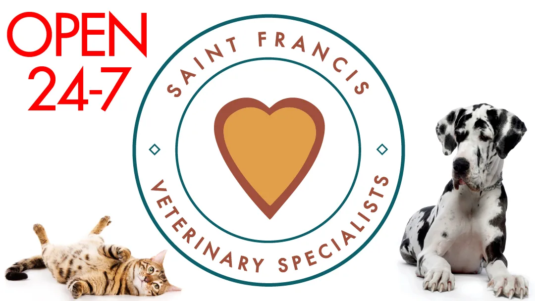 Veterinarian Service