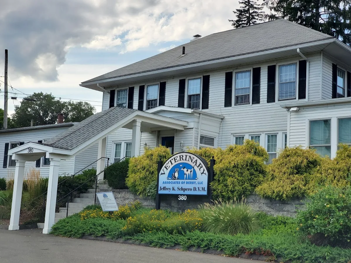 Veterinary Associates: Davis Ann DVM