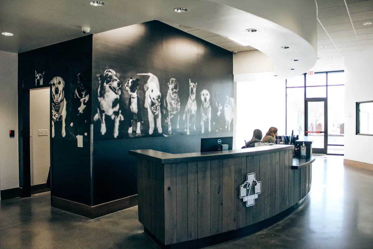 Veterinary Care and Specialty Group