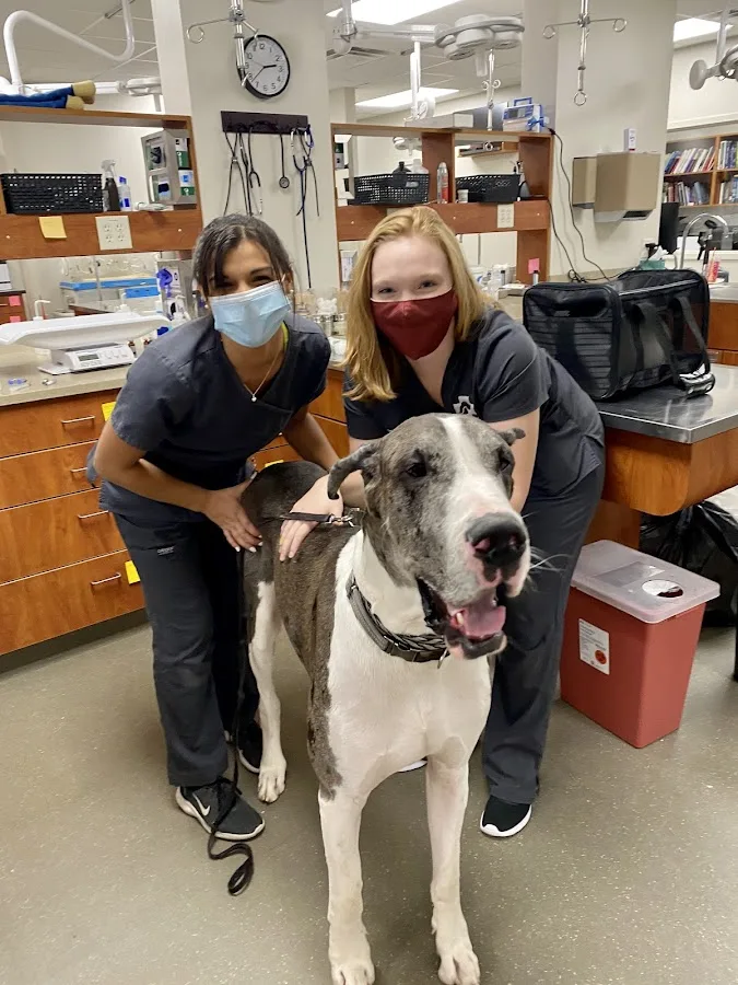 Veterinary Emergency Center of Manchester