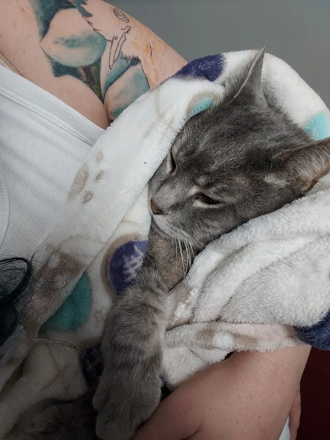 Veterinary Emergency Center of Redlands