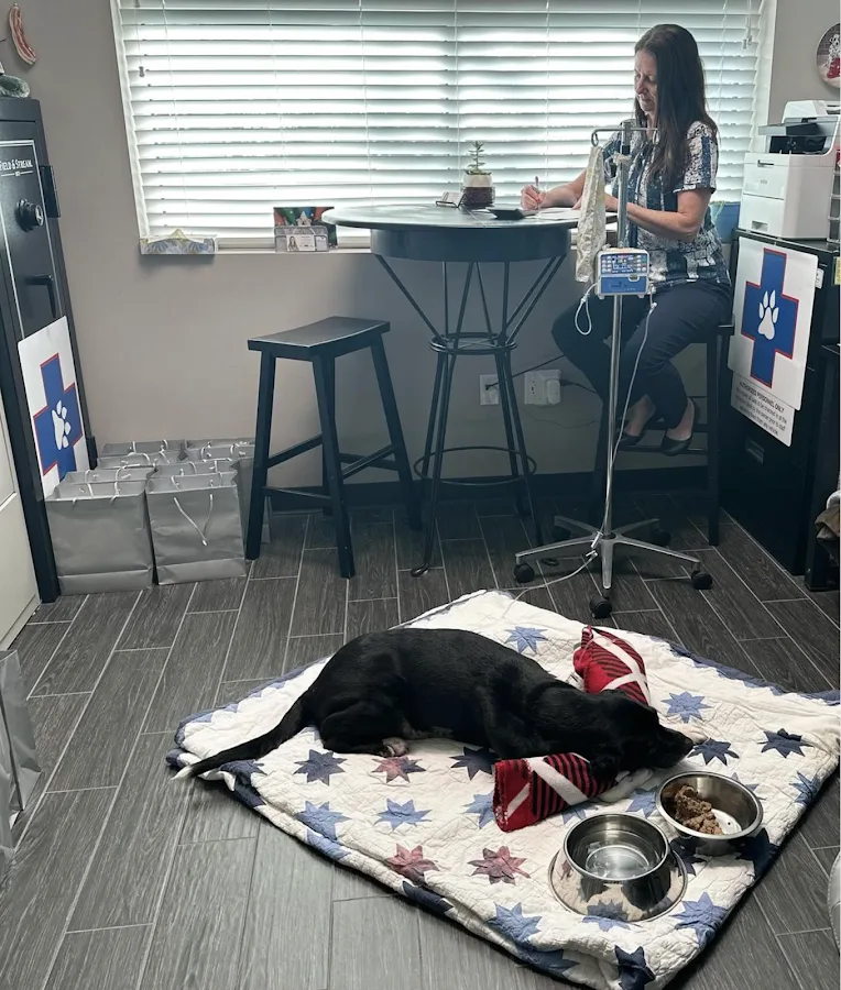 Veterinary Emergency Clinic of Central Florida | Orlando, FL