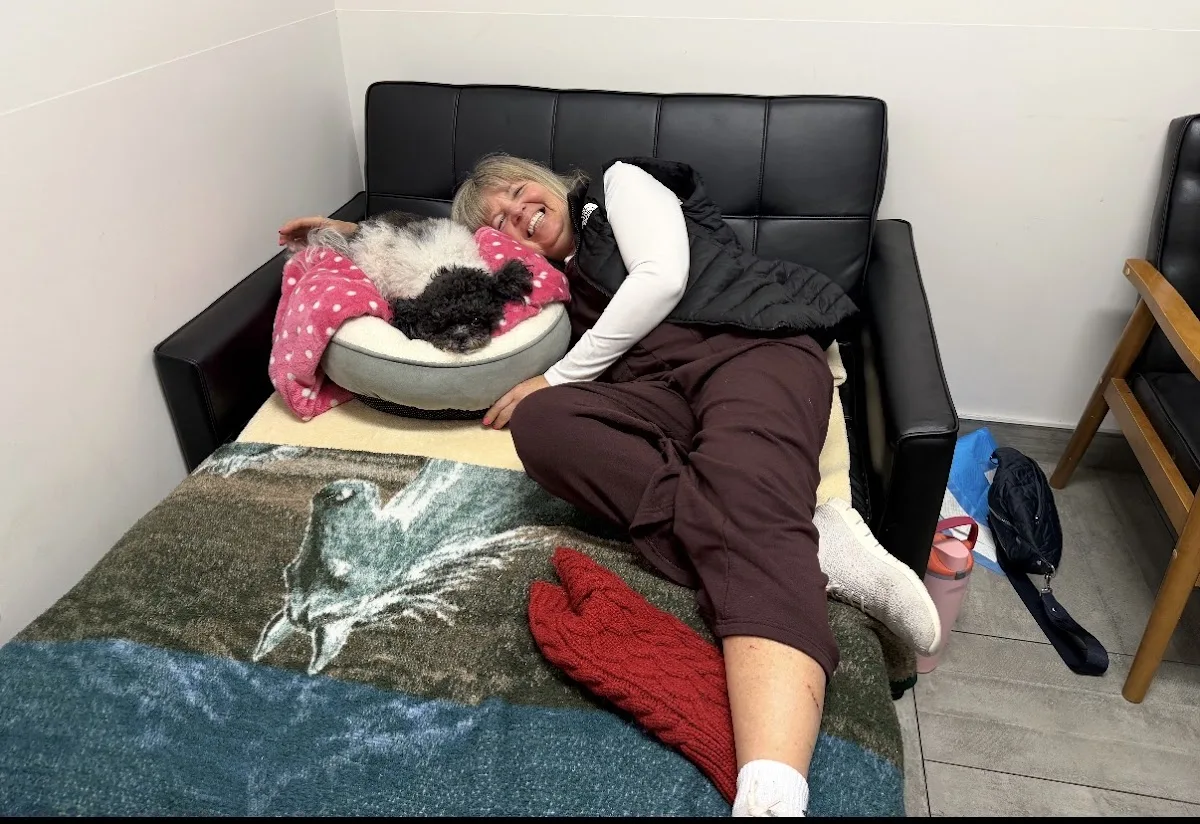 Veterinary Emergency Group