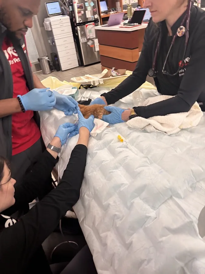 Veterinary Emergency Group