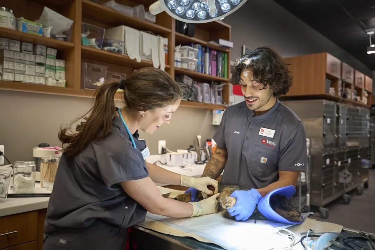 Veterinary Emergency Group