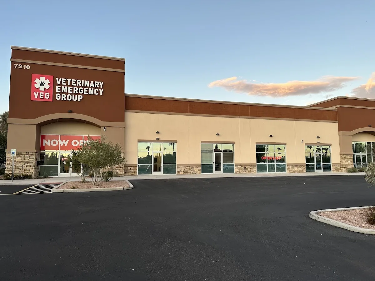 Veterinary Emergency Group primary photo