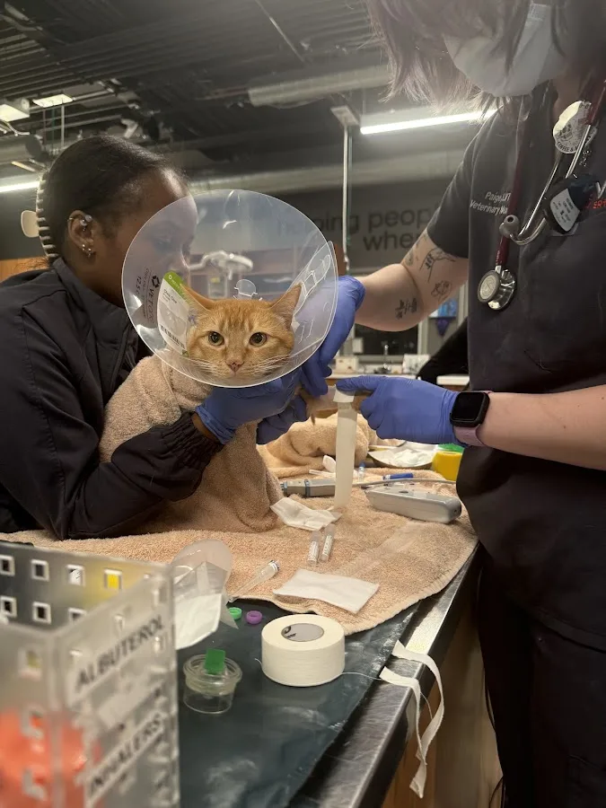 Veterinary Emergency Group