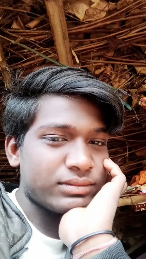 Veterinary Emergency Group