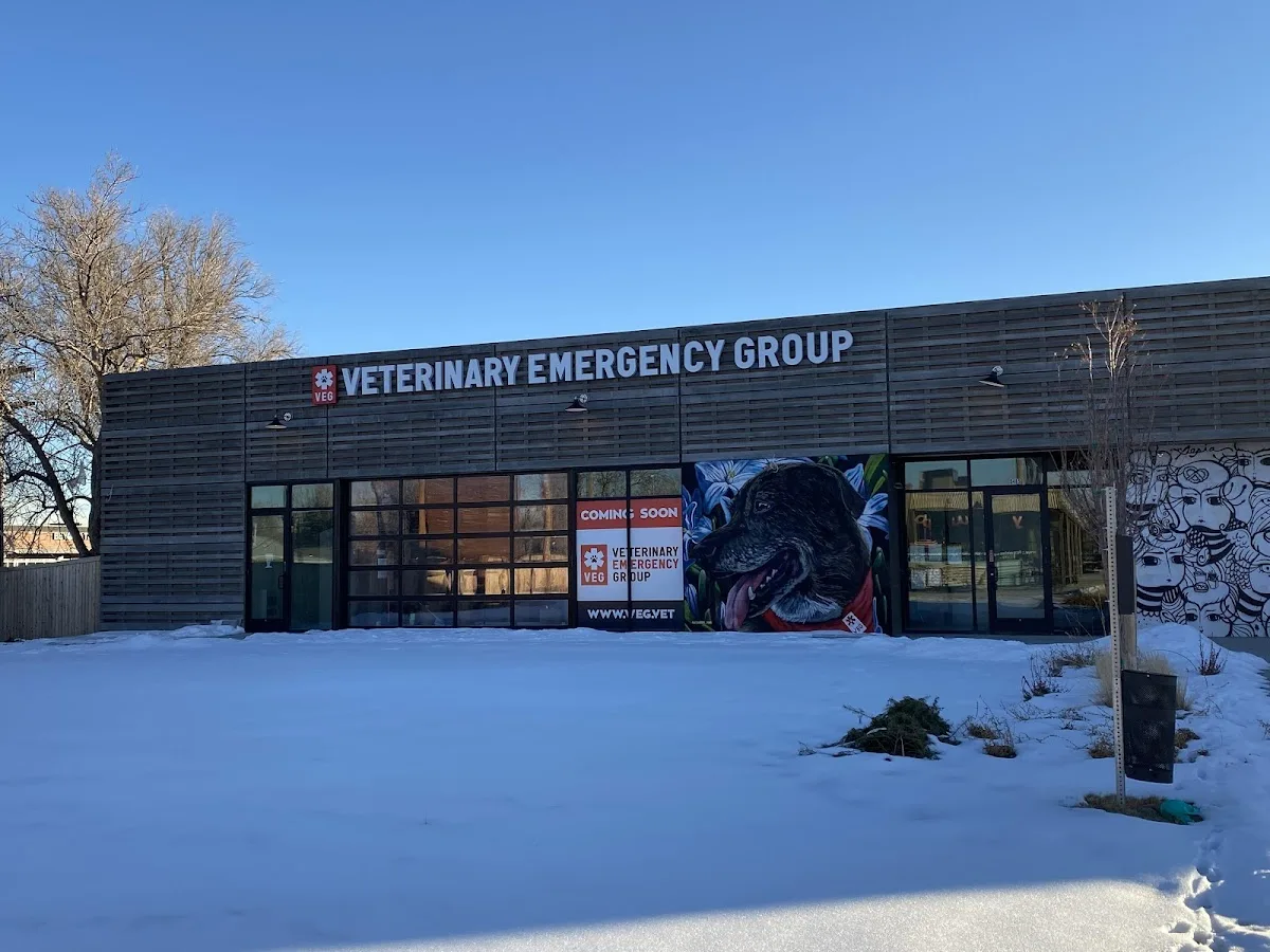 Veterinary Emergency Group