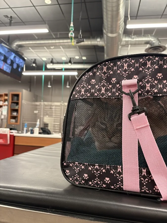 Veterinary Emergency Group