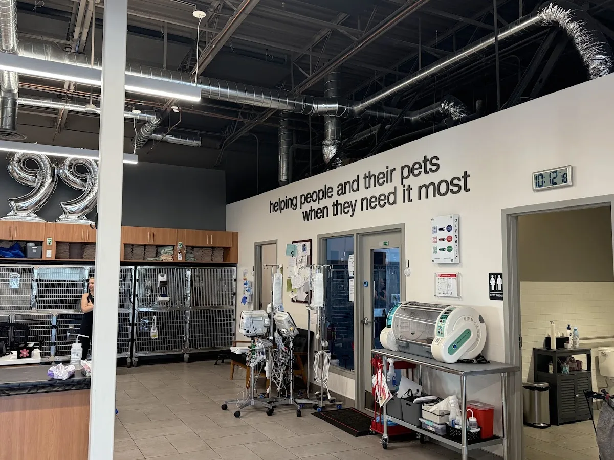 Veterinary Emergency Group