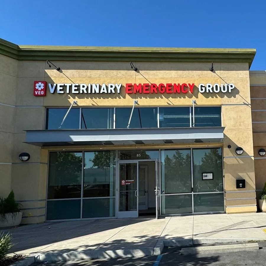 Veterinary Emergency Group