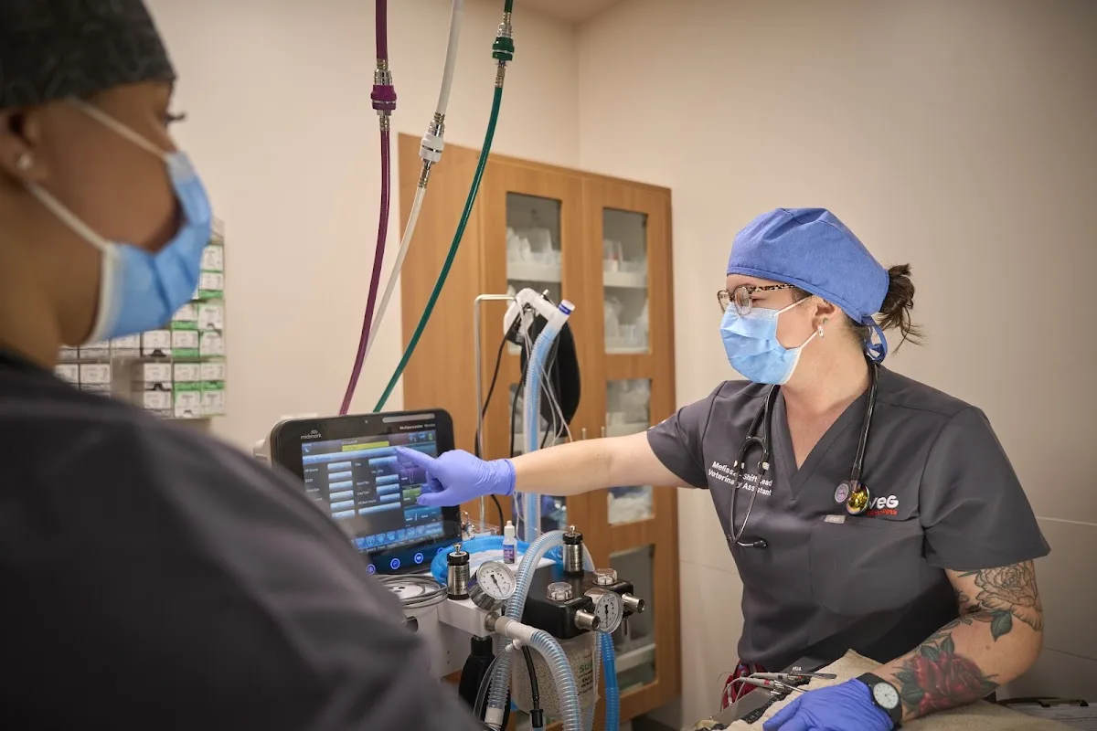 Veterinary Emergency Group