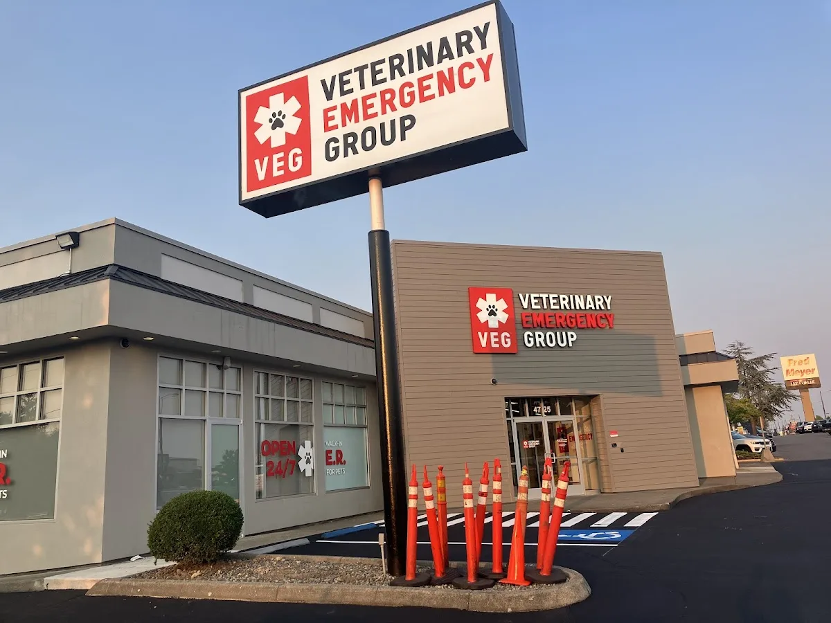 Veterinary Emergency Group primary photo