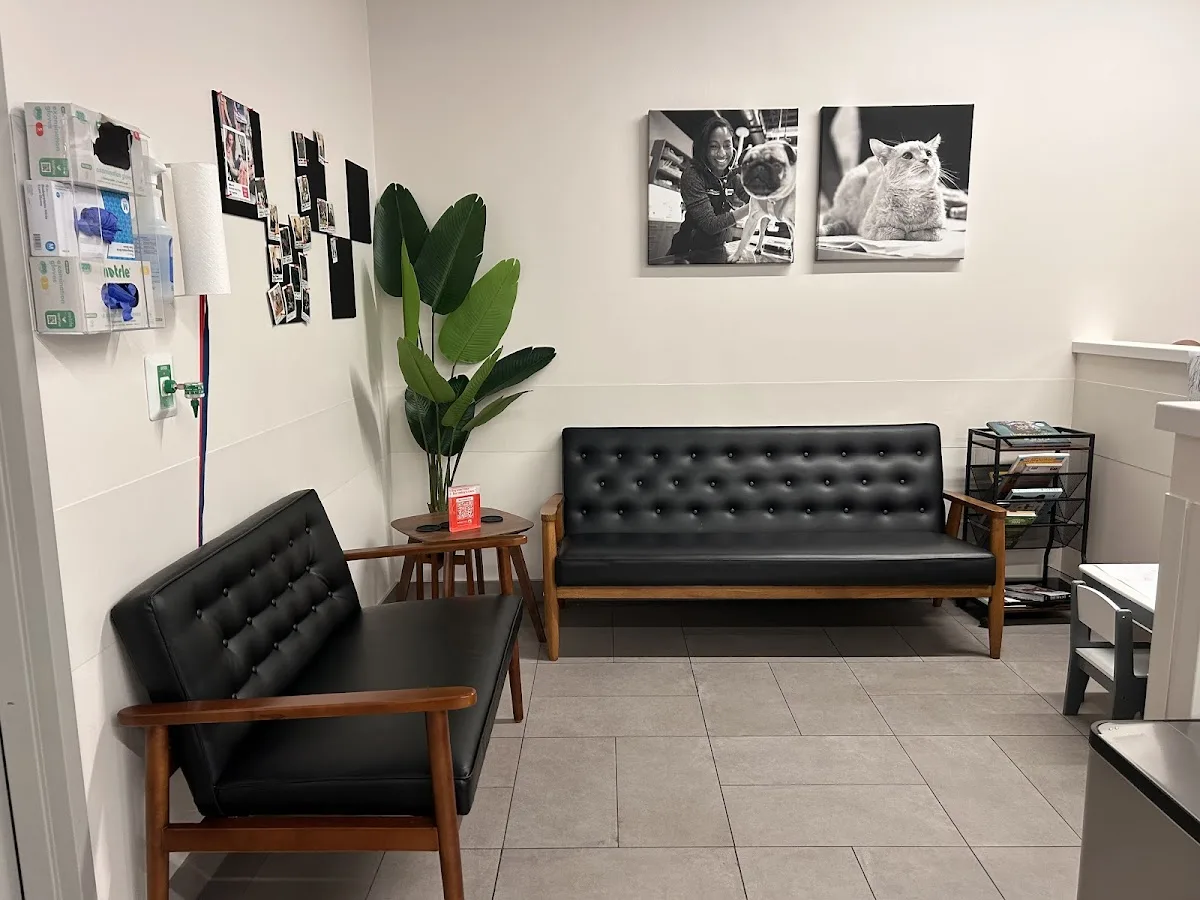 Veterinary Emergency Group