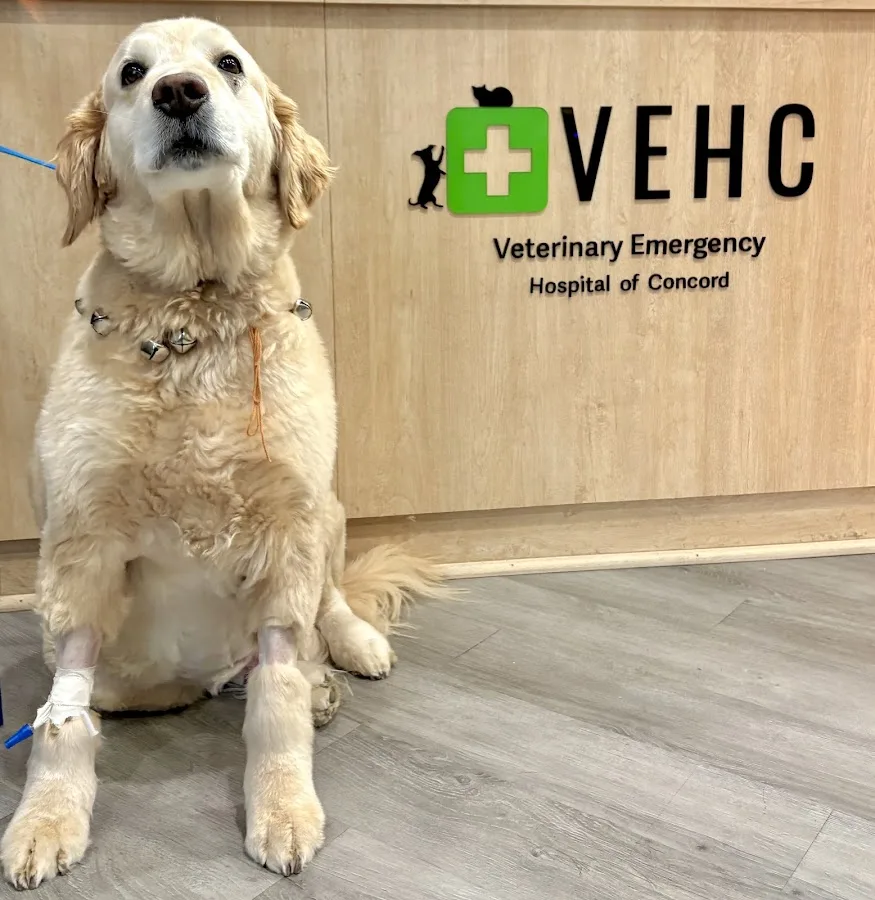 Veterinary Emergency Hospital of Concord (VEHC)