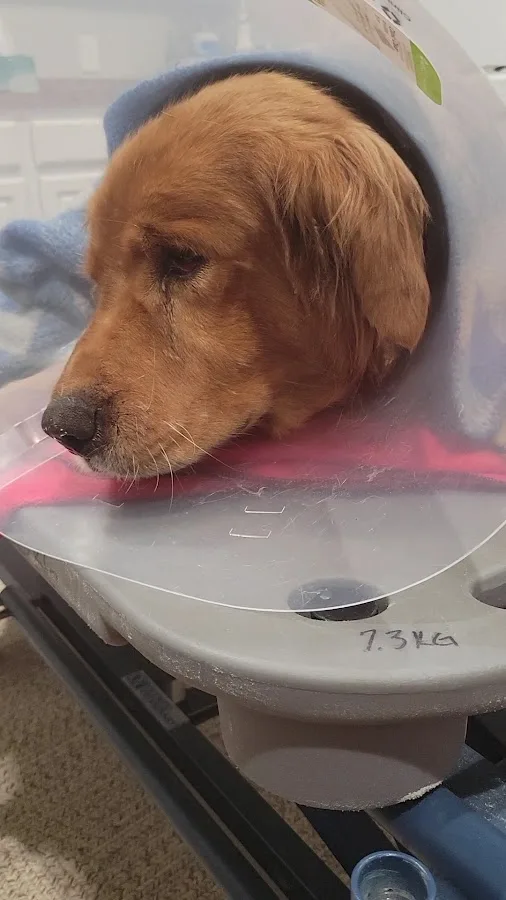 Veterinary Emergency Hospital of Midlothian