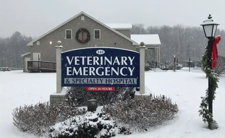 Veterinary Emergency & Specialty Hospital - South Deerfield