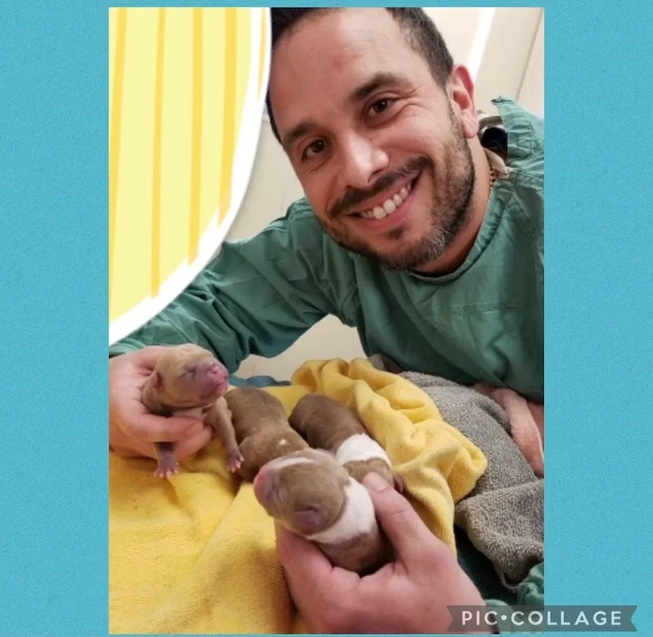 Veterinary Medical Center: Carmichael Daniel T DVM