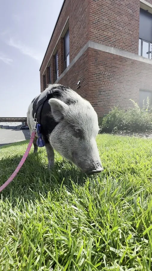 Veterinary Medical Center North–University of Minnesota