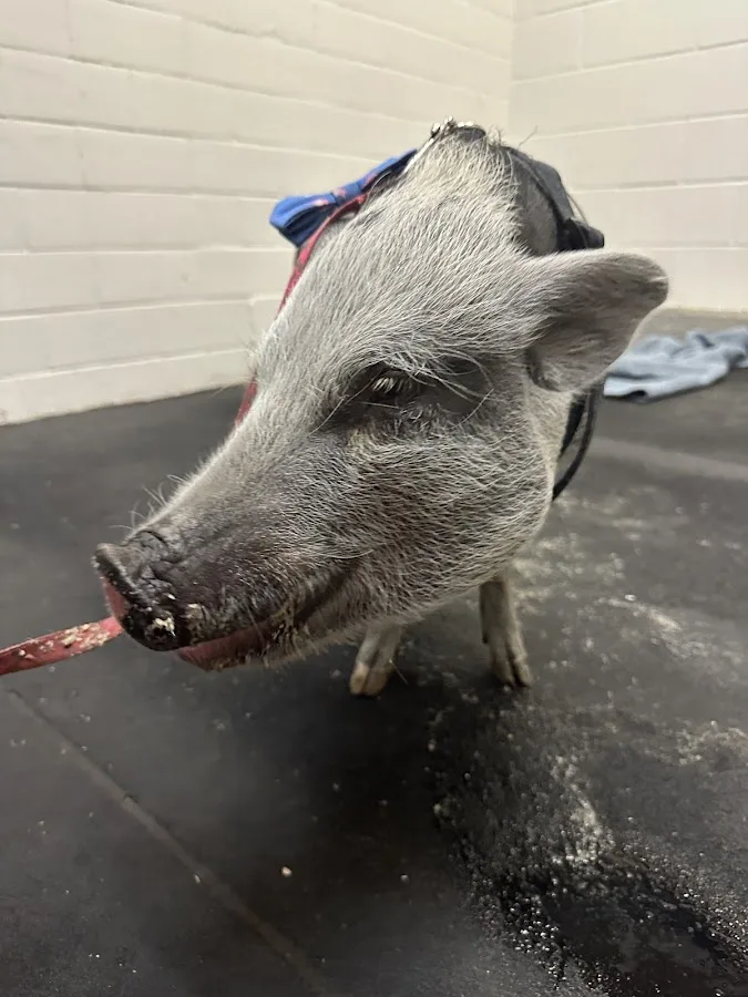 Veterinary Medical Center North–University of Minnesota