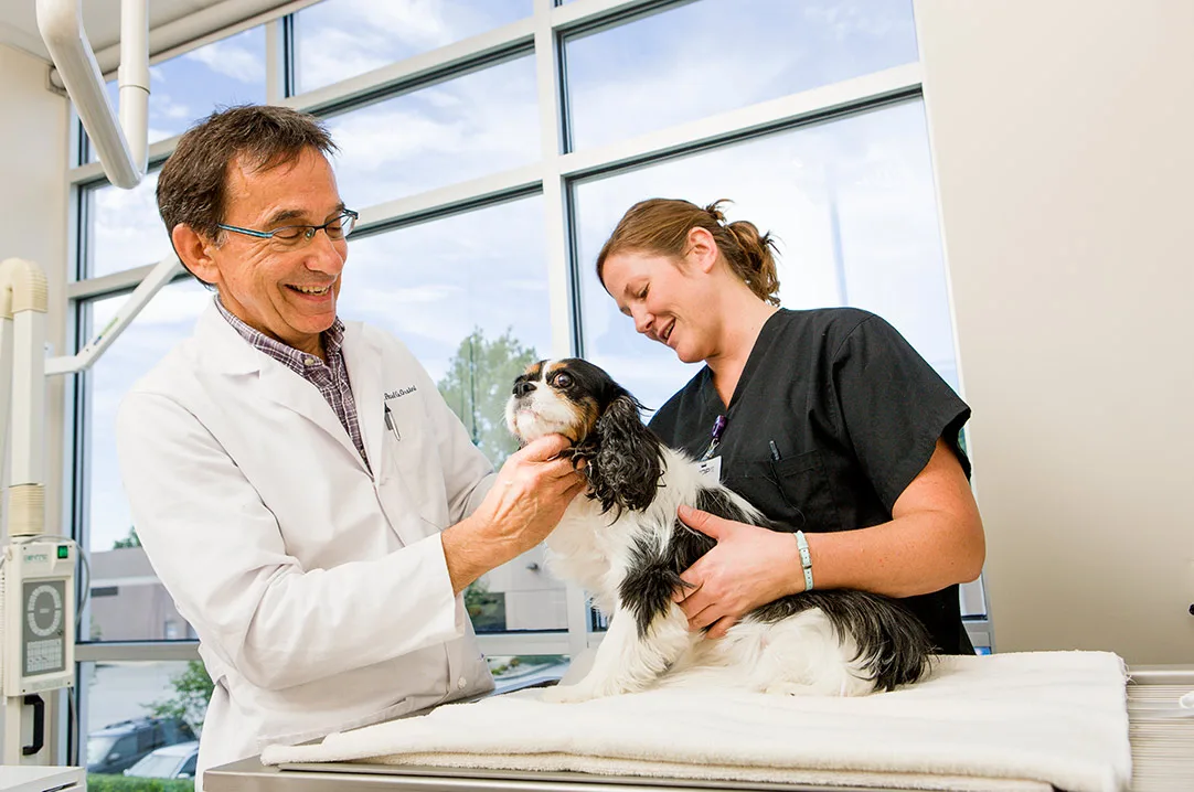 Veterinary Referral Center (VRC)