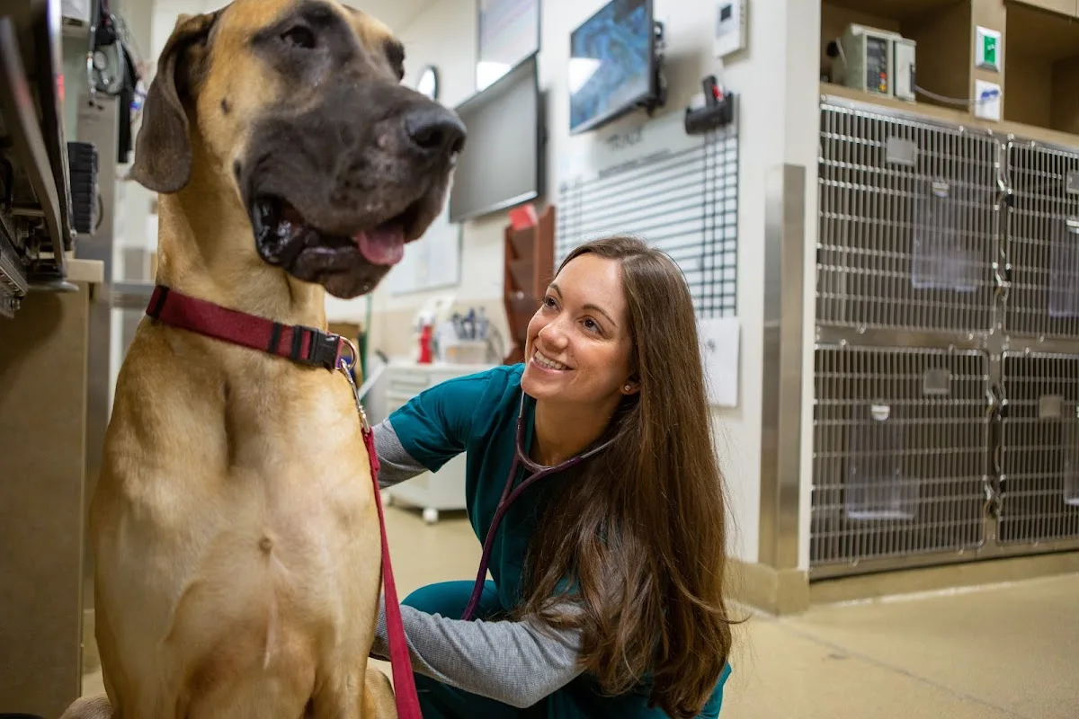 Veterinary Referral & Emergency Center of Westbury