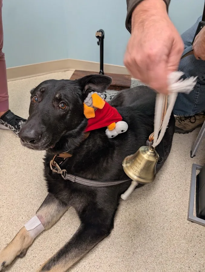 Veterinary Specialty Center