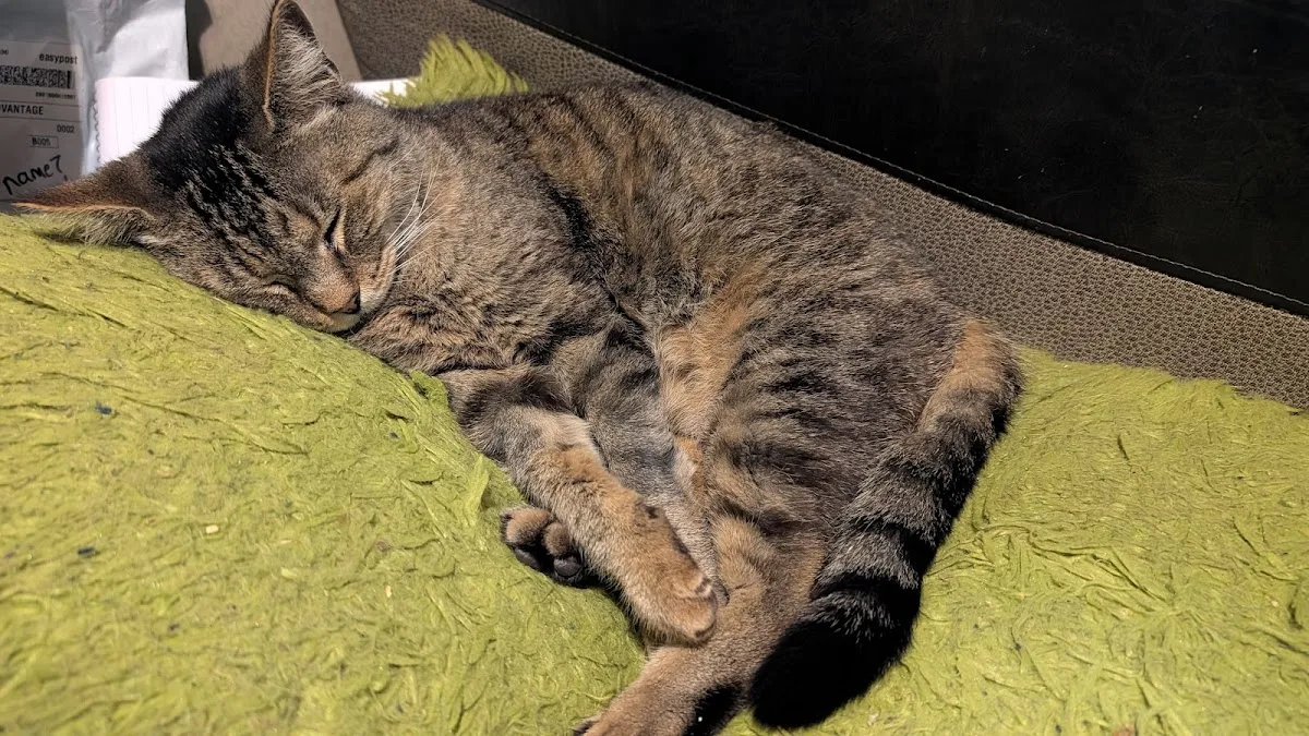 Veterinary Specialty Center